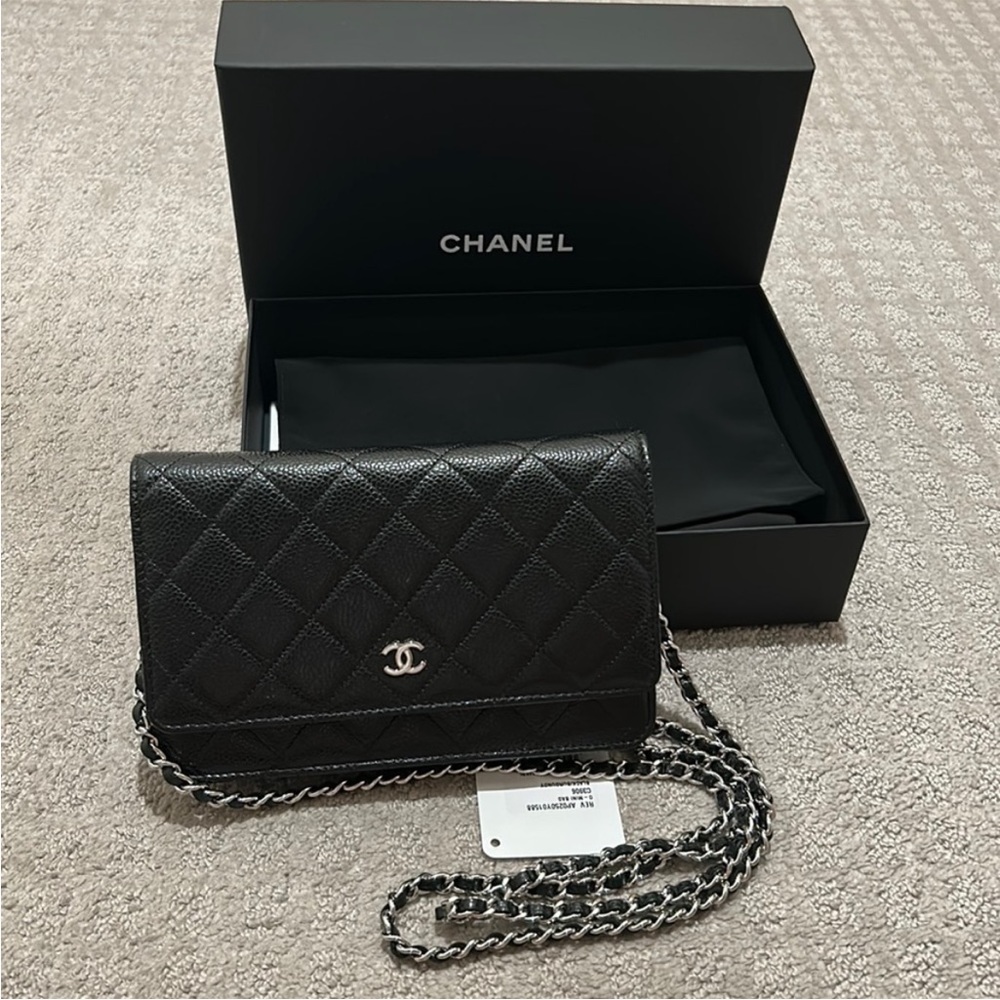 Chanel Classic Wallet on a Chain Purse